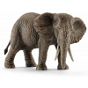 Schleich Slon africký - samica