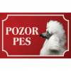 Pudel veľký - Kovová tabuľka POZOR PES