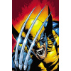 Wolverine Epic Collection Shadow Of Apocalypse