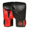 Boxerské rukavice DBX BUSHIDO B-2v15
