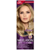 Wella Wellaton Intense farba na vlasy 8/1 Svetlá popolavá blond