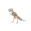 Woodcraft Drevené 3D puzzle Tyrannousaurus