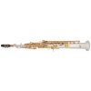 BACIO INSTRUMENTS BSS-100SG
