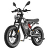 Fafrees F20 Ultra Electric Bike, 750W, 48V 25Ah, 20*5.0