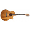 TANGLEWOOD TW4 E VC PW