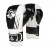 Boxerské rukavice DBX BUSHIDO B-2v3A 10 oz