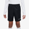 Nike Dri-FIT Academy 23 S