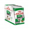 Royal Canin Mini Ageing Gravy 12 x 85g
