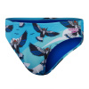 Speedo Escape 5cm Brief Mens Blue/Pink 26