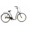 Mestsky bicykel - Striebro s nízkym hliníkom. (Striebro s nízkym hliníkom.)