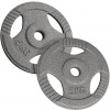 Physionics súprava kotúčov 2 x 5 kg, 31 mm