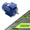 Acel elektromotor V303000