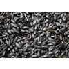 Slnečnica čierna kŕmna 1kg
