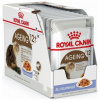 Royal Canin Ageing 12+ Jelly 12 x 85g