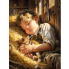 Norimpex diamantové malování Spící chlapec 30 x 40cm