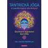 Tantrická jóga a transformační síla Bohyně - David Frawley