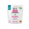 Brit Care Grain-free Puppy Salmon 1 kg