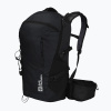 Turistický batoh Jack Wolfskin Cyrox Shape 25 l S-L evening sky