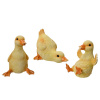 Kaemingk Veľkonočné káčatka z polyresinu rôzne druhy 10 x 11 x 13,5 cm, 1 ks