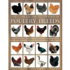 Concise Encyclopedia of Poultry Breeds (Fred Hams)(Brožovaná)