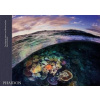 Two Worlds: Above and Below the Sea
