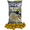 STARBAITS Pro Ginger & Squid, 800 g priemer 20 mm