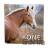 Koně 2026 - nástěnný kalendář - Baloušek