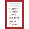 Master Harold ...and the Boys