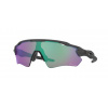 Okuliare Oakley Radar EV Path, Steel / PRIZM Road Jade