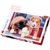 Trefl PUZZLE Foto Pejsci Čas na zmrzlinu 500 dílků 48x34cm 137272