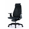 GENIDIA -ergonomické kancelárske kreslo , Farba čierna