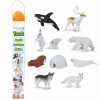 Safari Ltd 681604 arktické figúrky 12 ks v tube