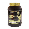 Kevin Levrone Anabolic Mass 3000 g