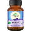 Organic India Brahmi - stres a duševná rovnováha, mozog