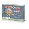 Seva Slangovice - společenská magnetická hra