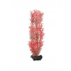 Tetra Akvarijní rostlina Foxtail Red M 23 cm
