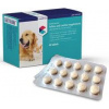 NutriCareVet Joint support Can.+Fel. 45 tbl