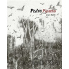 Pedro Páramo - Juan Rulfo