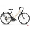 Kross Trans 2.0 Cream Brown/Graphite/Glossy