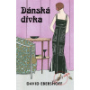 Dánská dívka - David Ebershoff