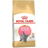 Royal Canin Cat British Shorthair Kitten 400 g