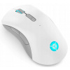 Lenovo Legion M600 Wireless Gaming Mouse GY51C96033