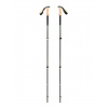 Trekingové palice Black Diamond Trail Cork Trekking Poles - laurel green