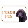 Pudelpointer - Kovová tabuľka POZOR PES