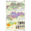 Nástenná mapa Slovensko - pôdy a poľnohospodárstvo