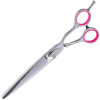 Geib Entree Straight Scissors - kvalitné rovné nožnice, vyrobené z japonskej ocele - Veľkosť: 8,5