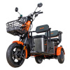 RURIS E-trojkolka PILOT 3020G, sivá