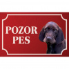 Pudelpointer - Kovová tabuľka POZOR PES