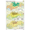 Nástenná mapa Slovensko - rastinstvo a živočíšstvo
