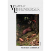 Modely a metody - Effenberger Vratislav